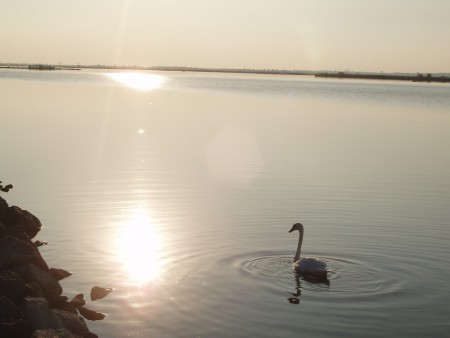 Velence Lake