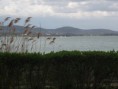 /album/ungheria-/p1010121-jpg/